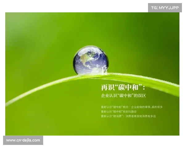 可持续能源应用，球场碳中和目标推进